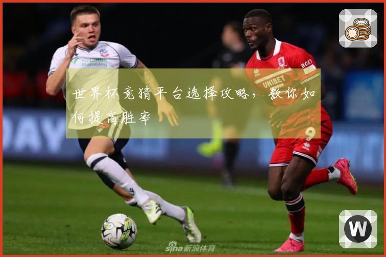 世界杯竞猜平台选择攻略，教你如何提高胜率