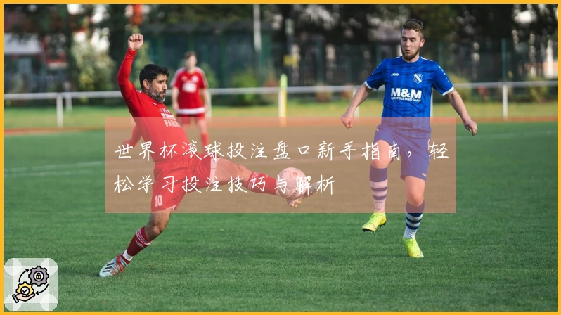 世界杯滚球投注盘口新手指南，轻松学习投注技巧与解析