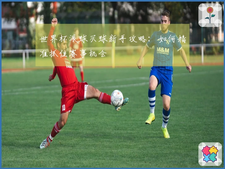 世界杯滚球买球新手攻略：如何精准抓住赛事机会