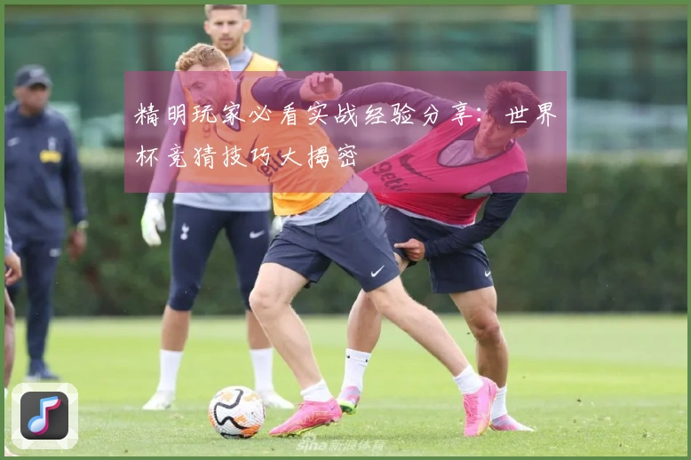 精明玩家必看实战经验分享：世界杯竞猜技巧大揭密