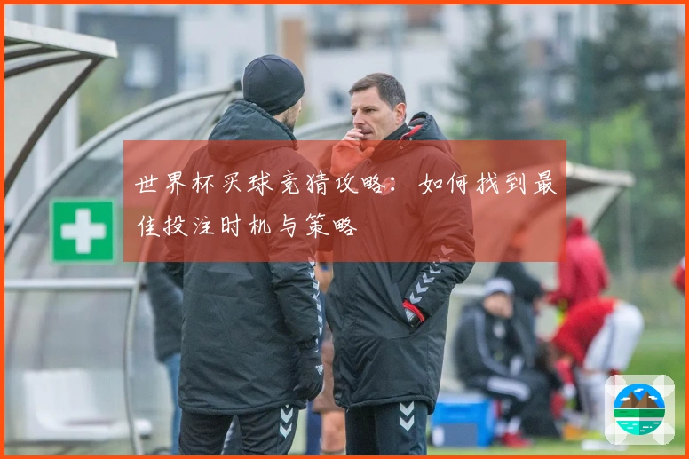世界杯买球竞猜攻略:如何找到最佳投注时机与策略